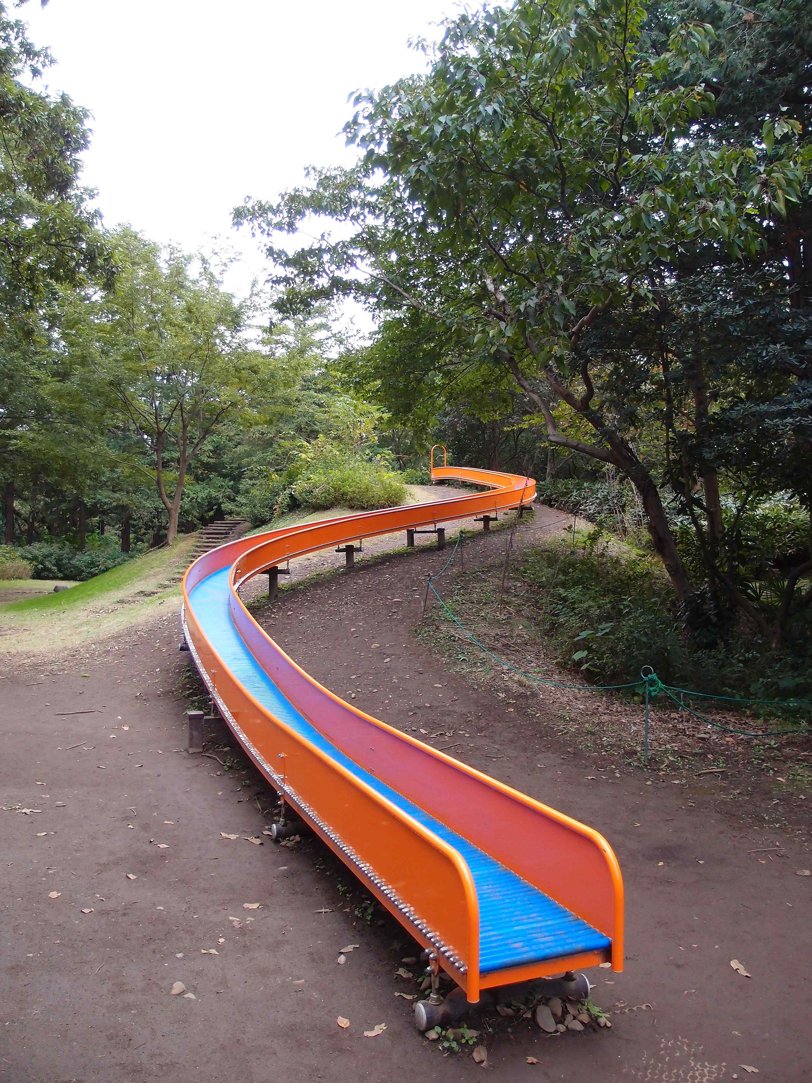 🌳 국영 쇼와 기념 공원 이미지 5